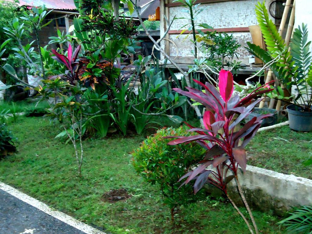 Dewa Put Guest House Ubud  Exterior photo